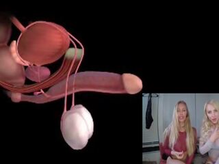 Male Orgasm Anatomy Explained Educational JOI: Free dirty video 85